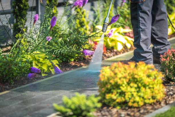 Best Sidewalk and Walkway Cleaning  in Progreso, TX