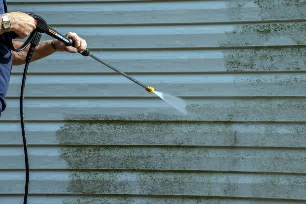 Best Fence Cleaning  in Progreso, TX
